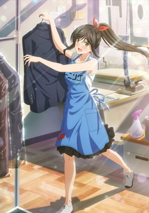 Kirei ni Shite Moraemasu ka.